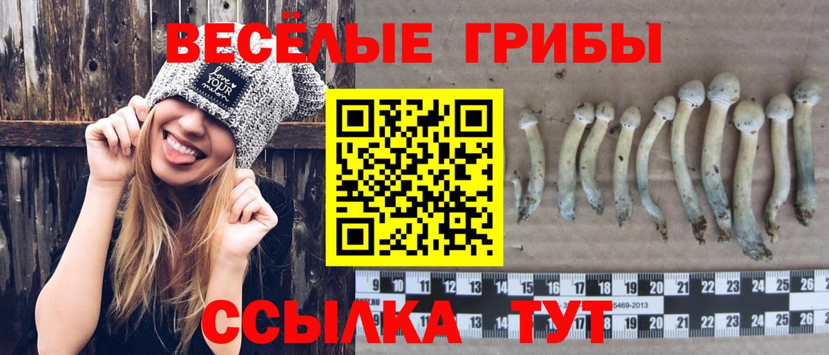 Галлюциногенные грибы GOLDEN TEACHER  Вход с VPN  Псилоцибиновые грибы прущие грибы  Нальчик 